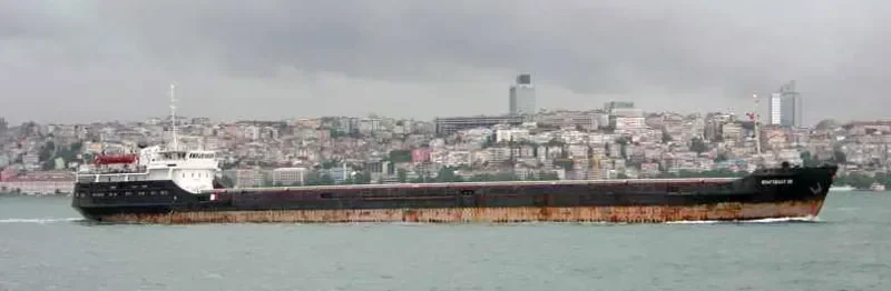 ARTEY General Cargo IMO 8879251 photo 8
