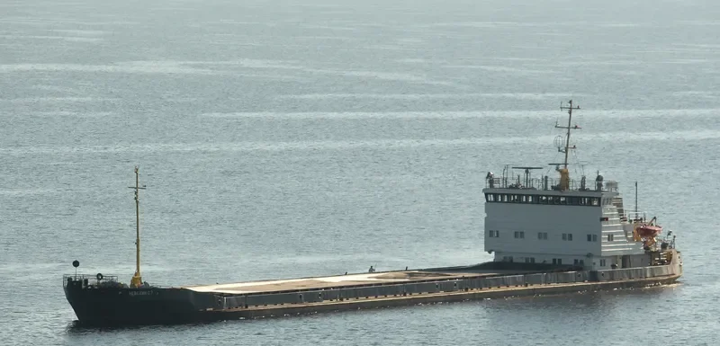 NEVSKIY 27 General Cargo IMO 8879835 photo 7