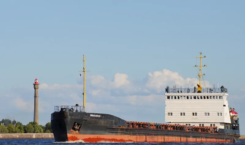 NEVSKIY 23 General Cargo IMO 8881278
