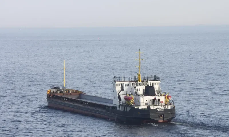 NEVSKIY 23 General Cargo IMO 8881278 photo 6