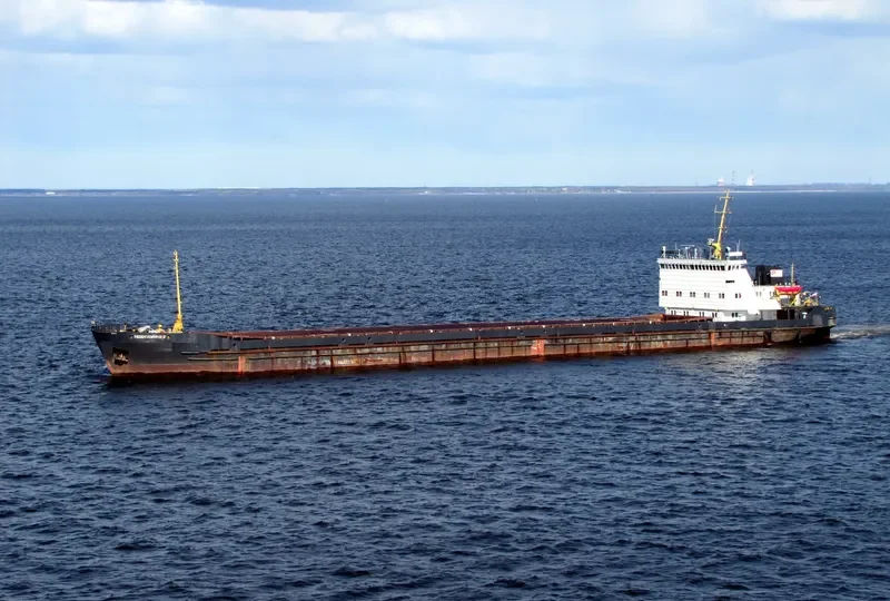 NEVSKIY 28 General Cargo IMO 8881280 photo 3