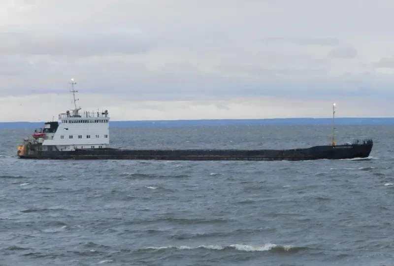 NEVSKIY 28 General Cargo IMO 8881280 photo 4