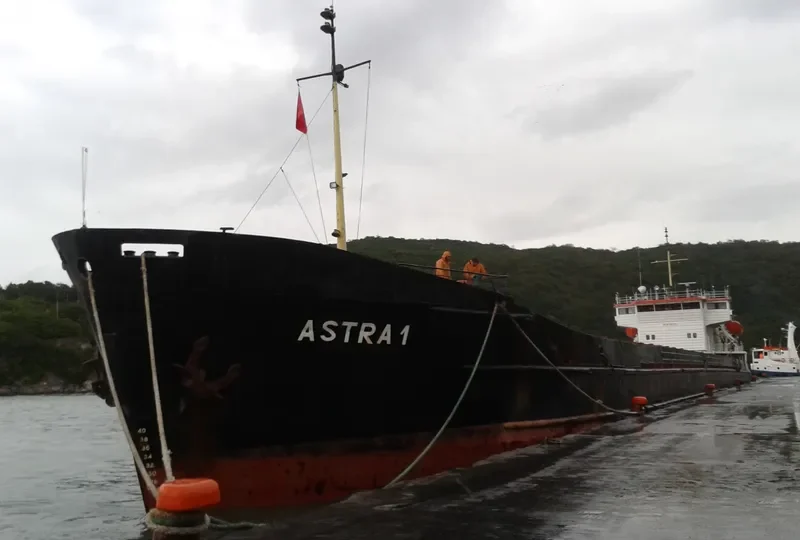 ALPHA General Cargo IMO 8881292