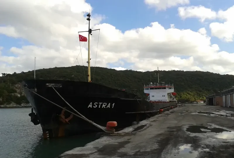 ALPHA General Cargo IMO 8881292 photo 3