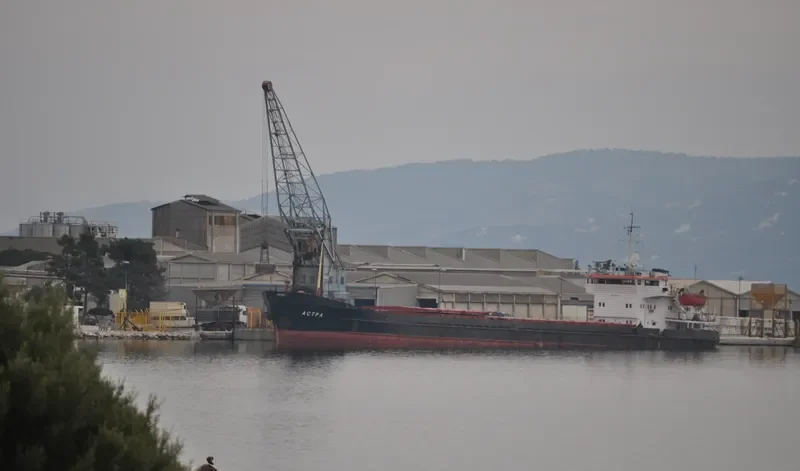 ALPHA General Cargo IMO 8881292 photo 10