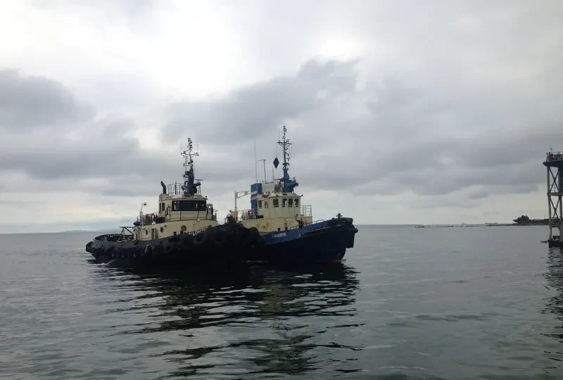 GANDVIK General Cargo IMO 8881618 photo 2