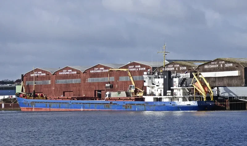 OMSKIY 134 General Cargo IMO 8881711 photo 2