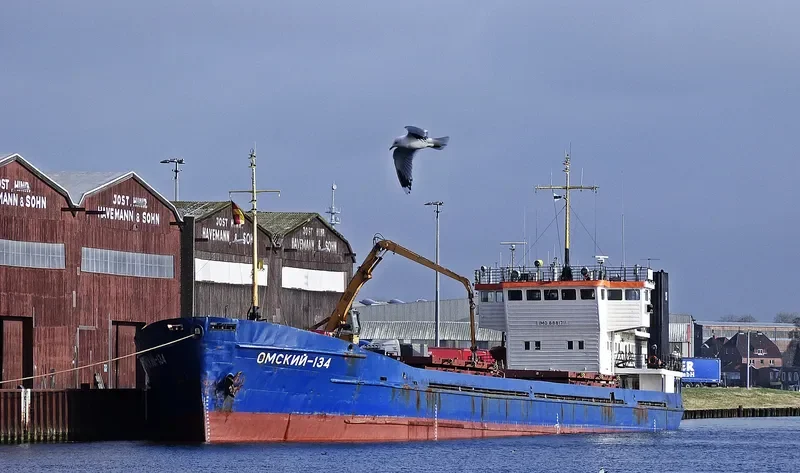 OMSKIY 134 General Cargo IMO 8881711 photo 3