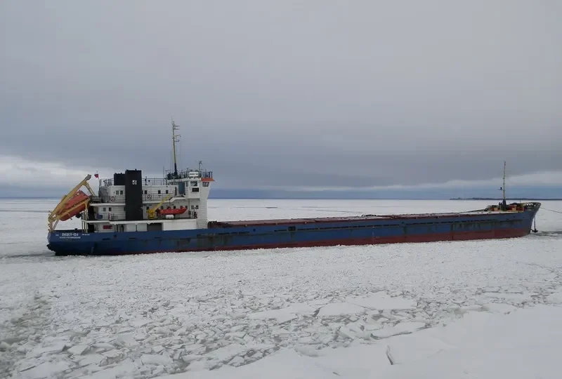 OMSKIY 134 General Cargo IMO 8881711 photo 5