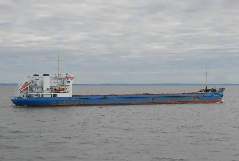 OMSKIY 135 General Cargo IMO 8881723 photo 2