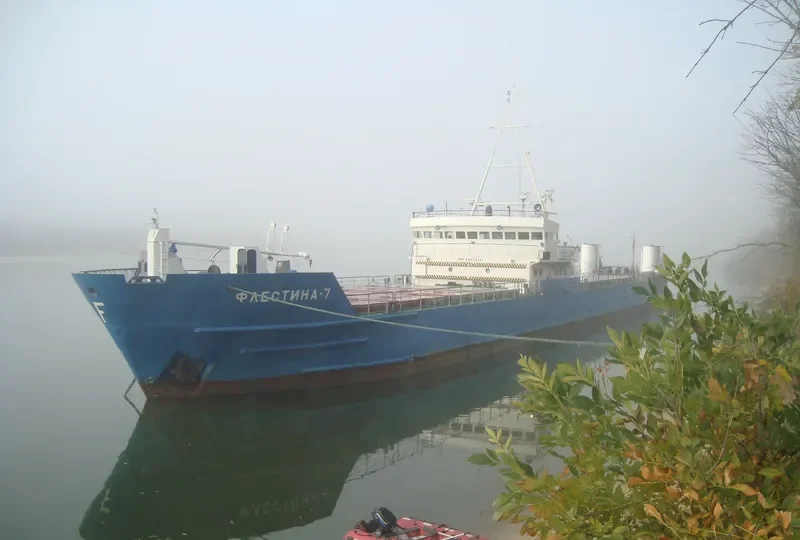 DELFIN 1 General Cargo IMO 8883214 photo 9