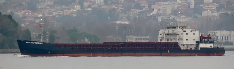ALEXANDER PERESVET General Cargo IMO 8883226