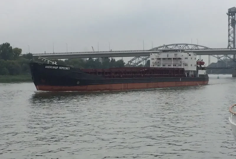 ALEXANDER PERESVET General Cargo IMO 8883226 photo 2