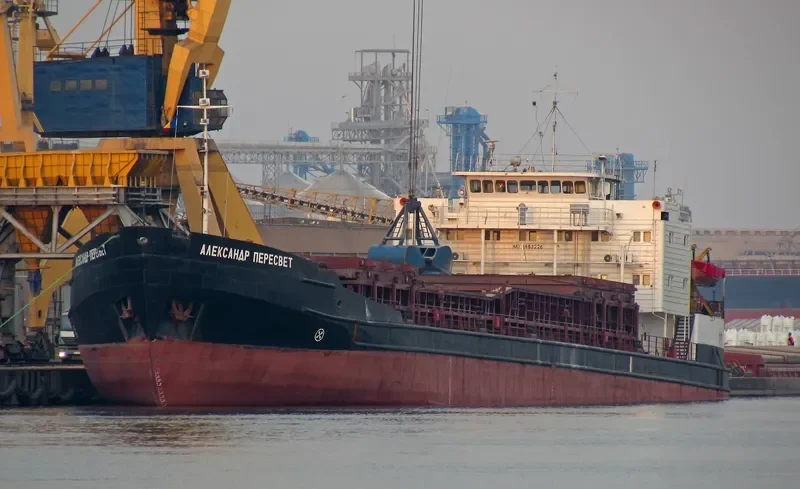 ALEXANDER PERESVET General Cargo IMO 8883226 photo 3