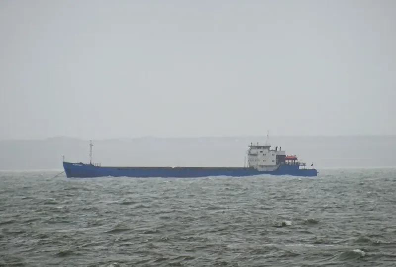 VOLZHSKIY 8 General Cargo IMO 8883238 photo 2
