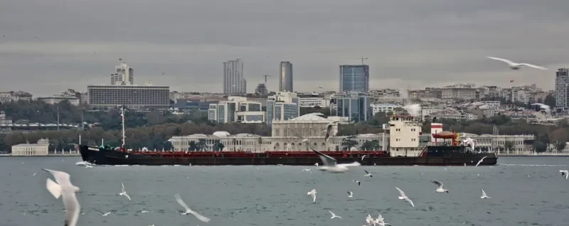 VOLZHSKIY 8 General Cargo IMO 8883238 photo 7