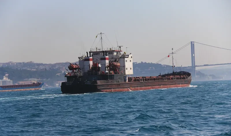 VOLZHSKIY 8 General Cargo IMO 8883238 photo 10