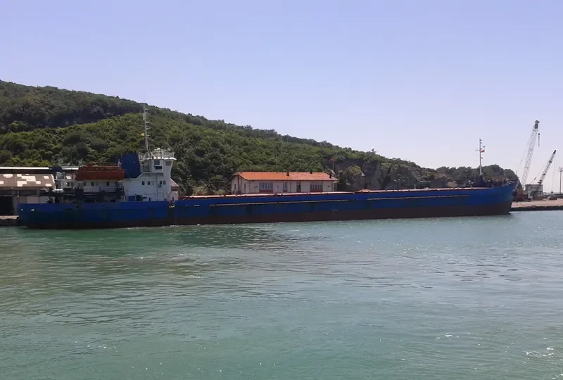OMSKIY 147 General Cargo IMO 8887753 photo 4