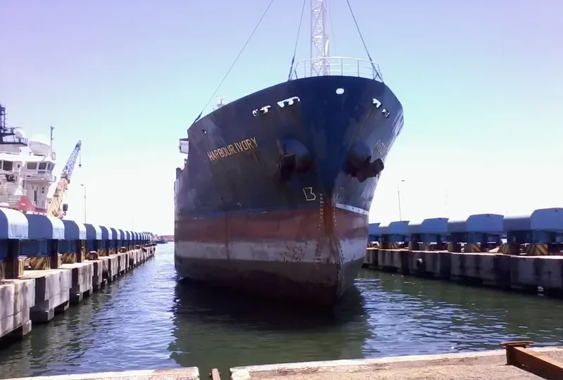 HARBOUR IVORY General Cargo IMO 8887959 photo 2