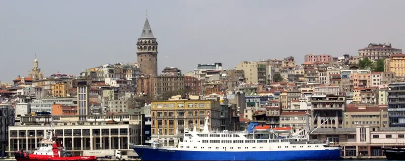 INDIGO Passenger Ship IMO 8888824 photo 5