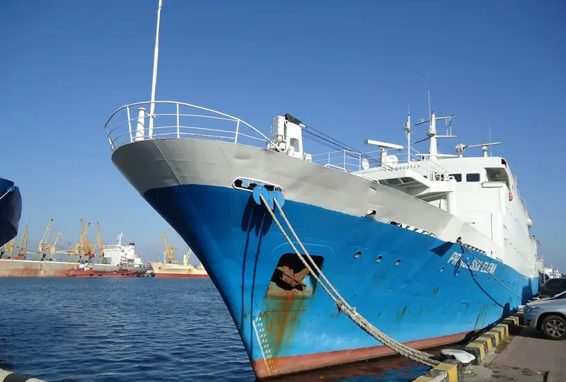 INDIGO Passenger Ship IMO 8888824 photo 8