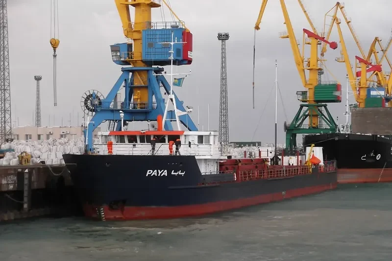 PAYA General Cargo IMO 8888898 photo 7