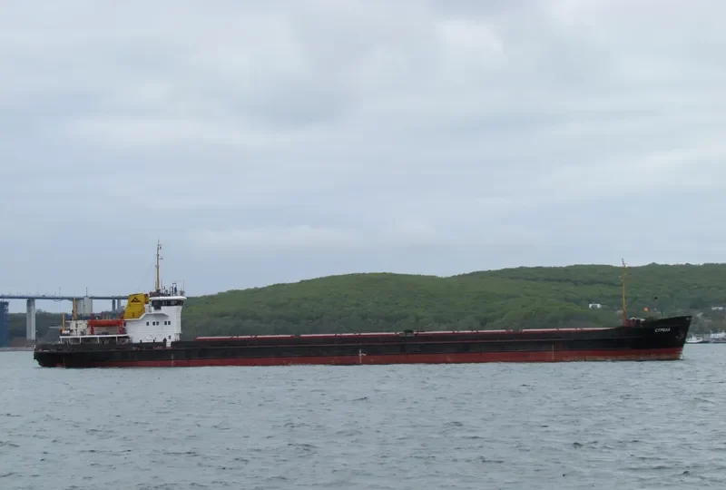 OMSKIY 108 General Cargo IMO 8889414 photo 6