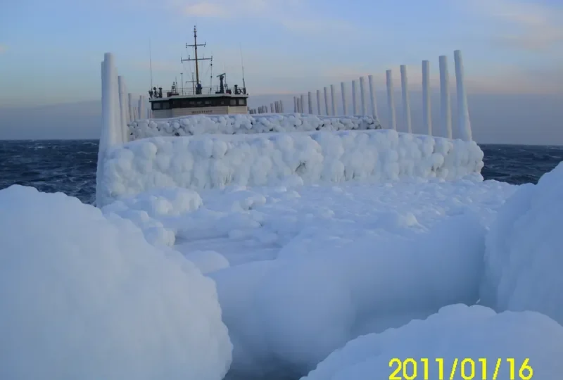 AVANGARD General Cargo IMO 8889438 photo 4