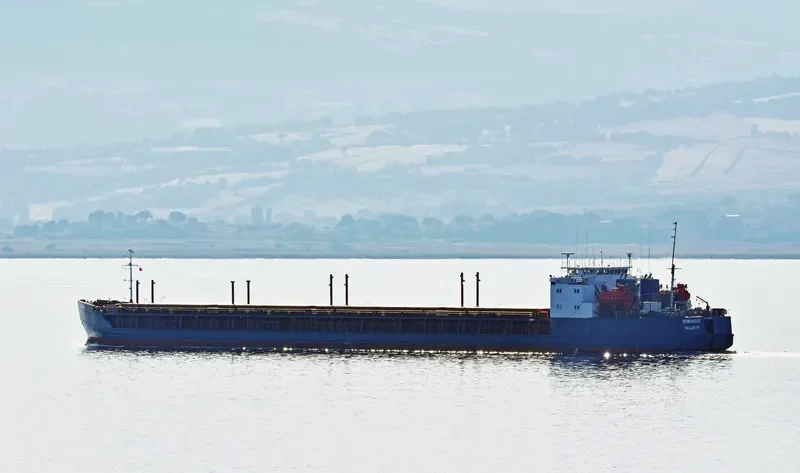 SEMINOLE General Cargo IMO 8890396