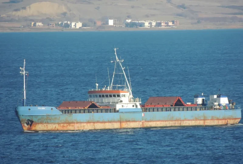 FALCONA General Cargo IMO 8891376