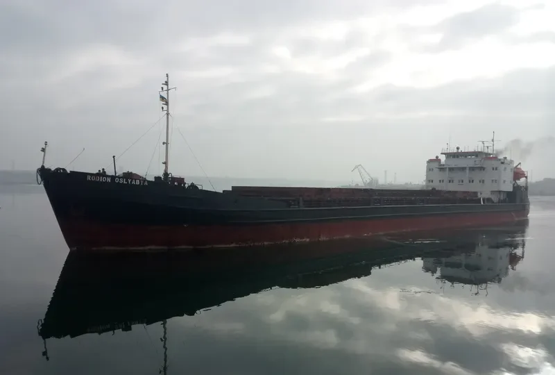 RODION OSLYABYA General Cargo IMO 8891560 photo 2