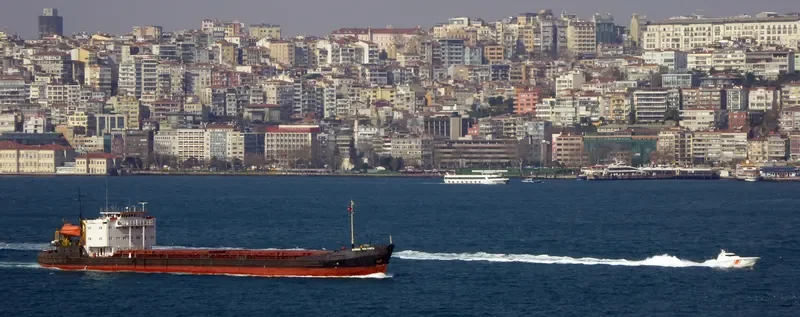 RODION OSLYABYA General Cargo IMO 8891560 photo 5
