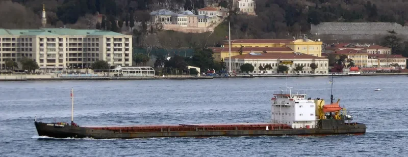 RODION OSLYABYA General Cargo IMO 8891560 photo 6