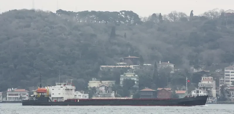 RODION OSLYABYA General Cargo IMO 8891560 photo 8