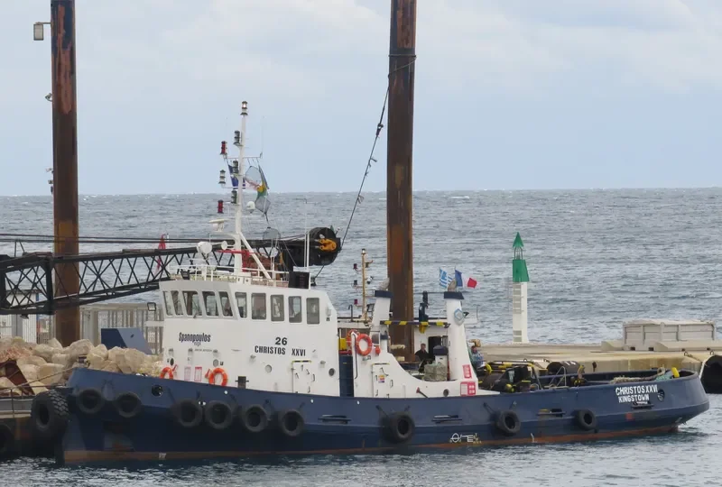 CHRISTOS XXVI General Cargo IMO 8891819 photo 8