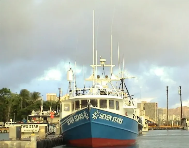 SEVEN STARS General Cargo IMO 8894445
