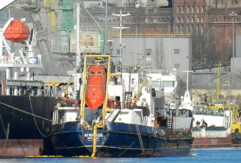 AGINSKOYE General Cargo IMO 8894536 photo 9