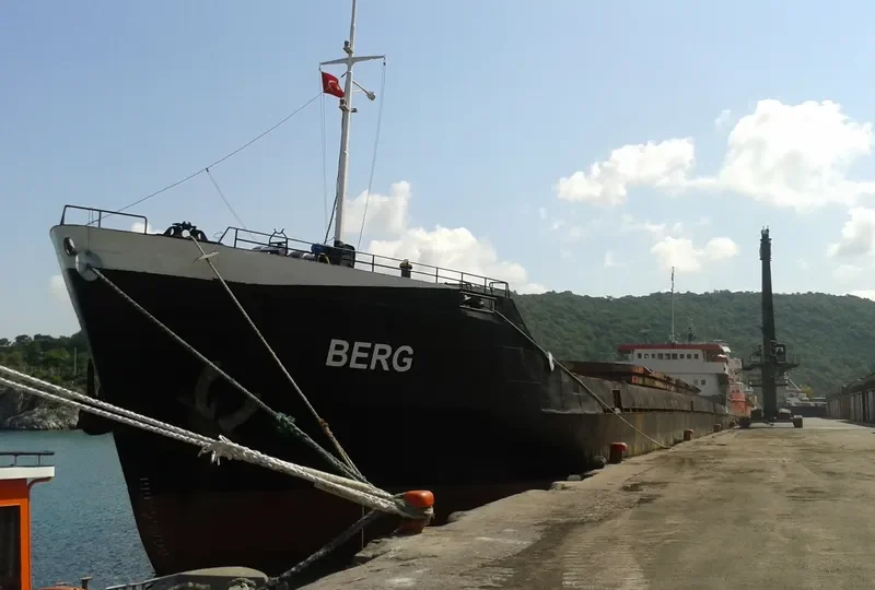 BERG General Cargo IMO 8896039
