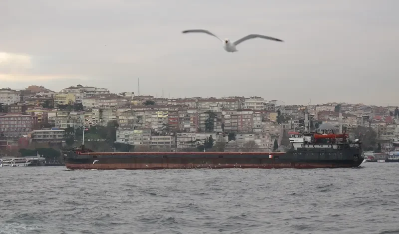 BERG General Cargo IMO 8896039 photo 6
