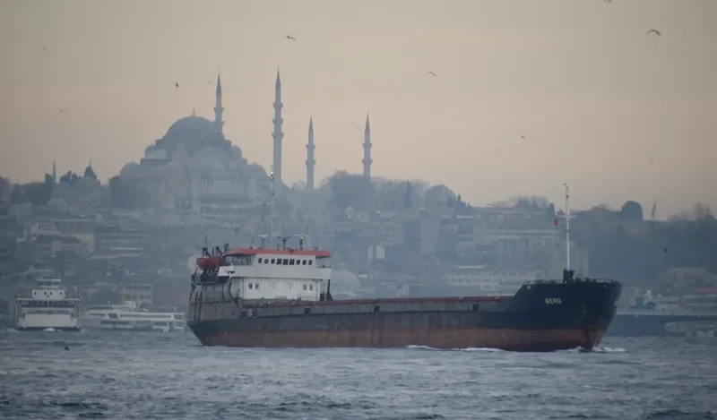 BERG General Cargo IMO 8896039 photo 7