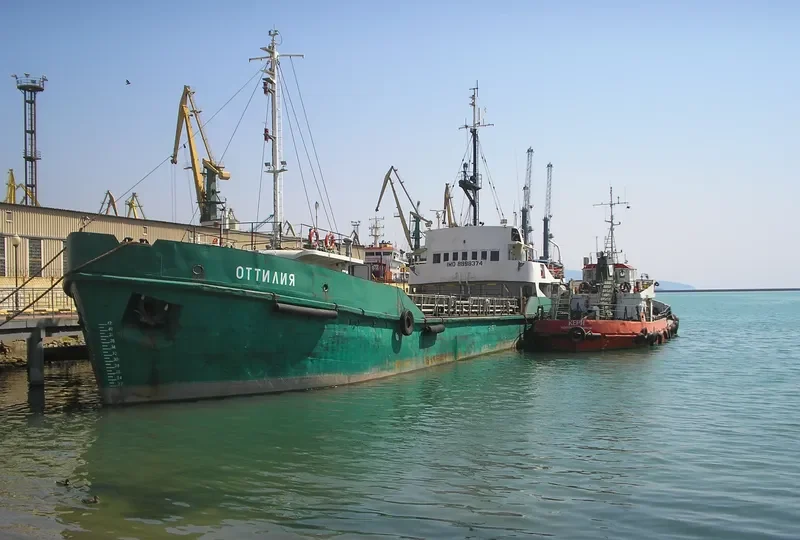 OTTILIYA General Cargo IMO 8898374 photo 8
