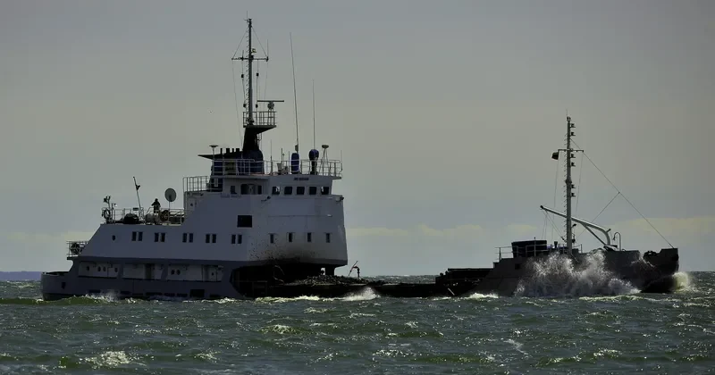 SAULES KRASTAS General Cargo IMO 8898506 photo 2
