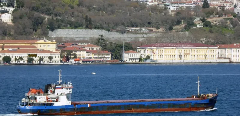 KALITVA General Cargo IMO 8899067 photo 4