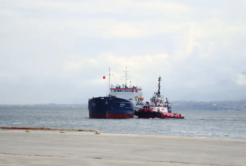 BERYL General Cargo IMO 8899976