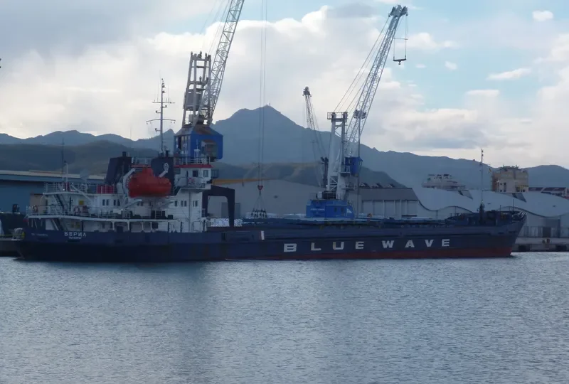BERYL General Cargo IMO 8899976 photo 8