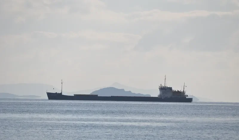 VIKING General Cargo IMO 8899988 photo 5