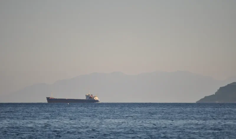 VIKING General Cargo IMO 8899988 photo 7