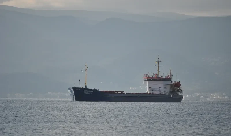 VIKING General Cargo IMO 8899988 photo 8