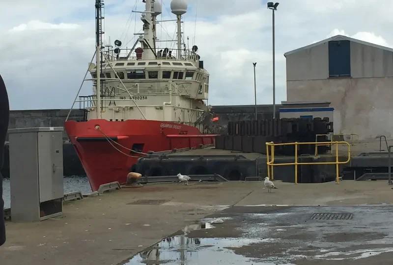 ORCADES General Cargo IMO 8900256 photo 2