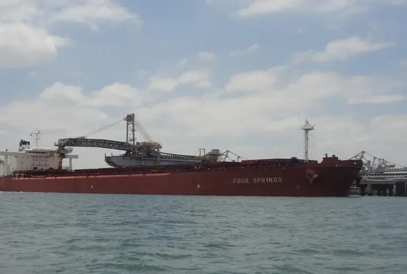 SPRING Bulk Carrier IMO 8900402 photo 2